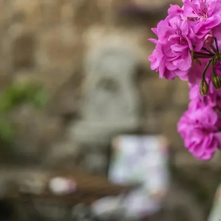 Etruscan Garden Bed & Breakfast