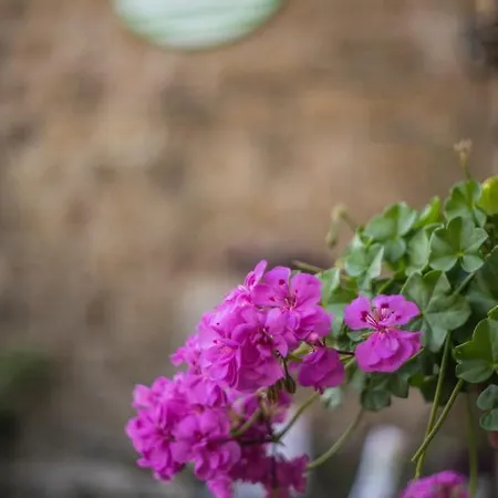 Etruscan Garden *