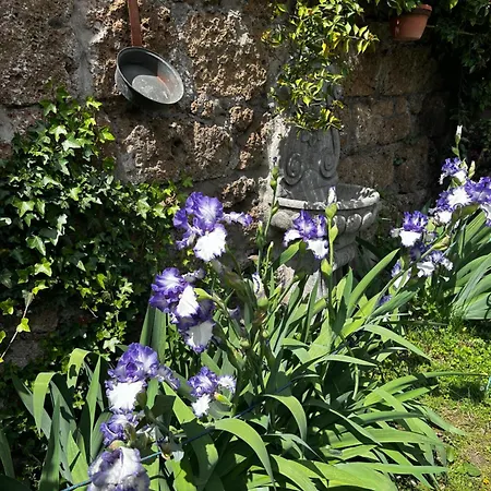 Etruscan Garden * Sutri